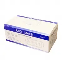 3 Ply Earloop Particulate Face Mask