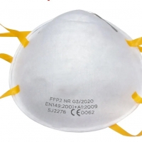Disposable Respirator - 20/Box