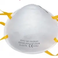 Disposable Respirator - 20/Box