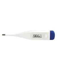 ADTEMP II Digital Thermometer