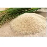 Sona Masoori Old Rice