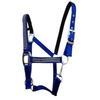 Horse Blue Halter