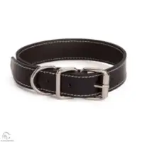 Leather Dog Collar With Brass Fitting