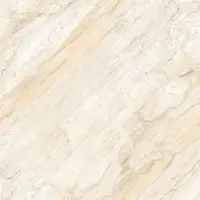 600x600 mm Porcelain Tiles