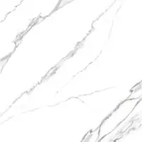 600x600 mm Porcelain Tiles