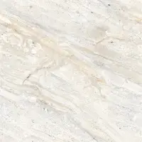 600x600 mm Porcelain Tiles