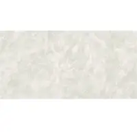 600x1200 mm Porcelain Tiles
