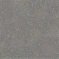 600x600 mm Porcelain Tiles