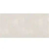 600x1200 Porcelain Tiles
