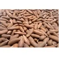 Pine Nut With Shell