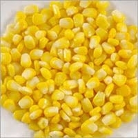 Yellow Maize & Corn