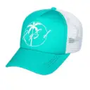 baseball hat, trucker hat