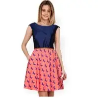 Designer Blue Dress