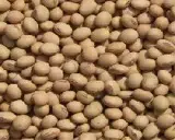 Soyabeans NON GMO Grade 2