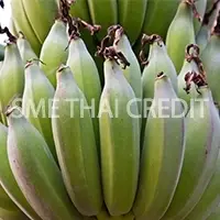Thailand Banana