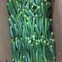 Okra