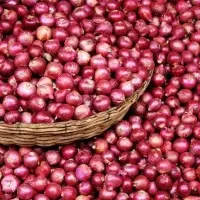 Small Onion