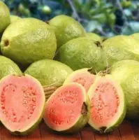 Red Guava