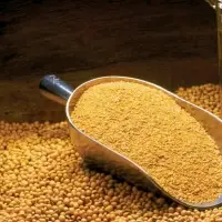 Soybean Meal