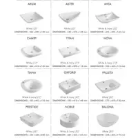 Vanity basins