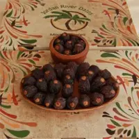 Medjool Dates