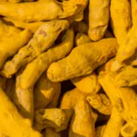 Turmeric Finger & Powder