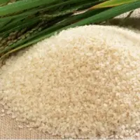 Seeraga Samba Rice