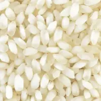 Idly Rice