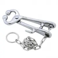 Bull Holder