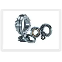 Bearing Skf