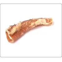 Aorta