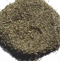 Basil Leaves