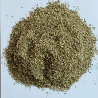Oregano