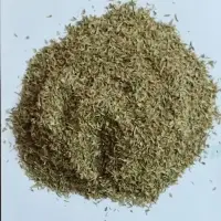 Oregano
