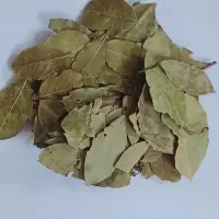 Bay Leaf