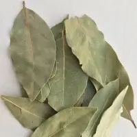 Bay Leaves