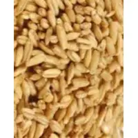 Oats
