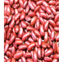 Red Kidney Beans
