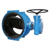 Butterfly Valve