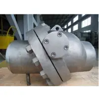 Check Valve