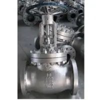 Globe Valve