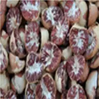 Betelnut