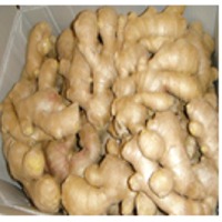 Fresh Ginger
