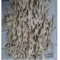 Dry Ginger