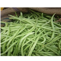 Beans