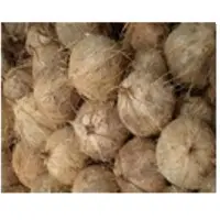 Coconut