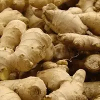 Ginger