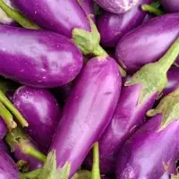 Brinjal