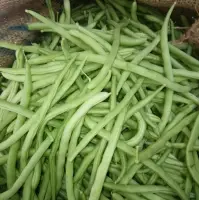 Beans