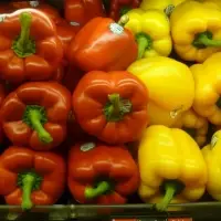 Capsicum